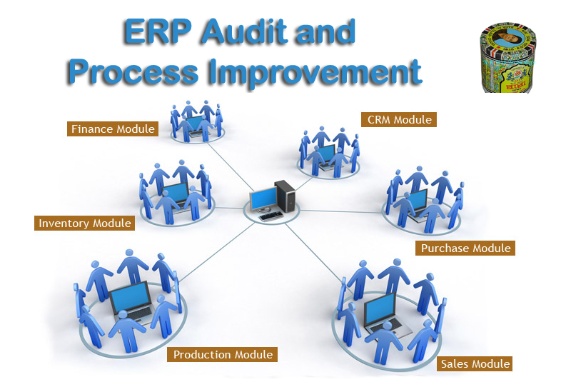 ERP Audit and Process Improvement